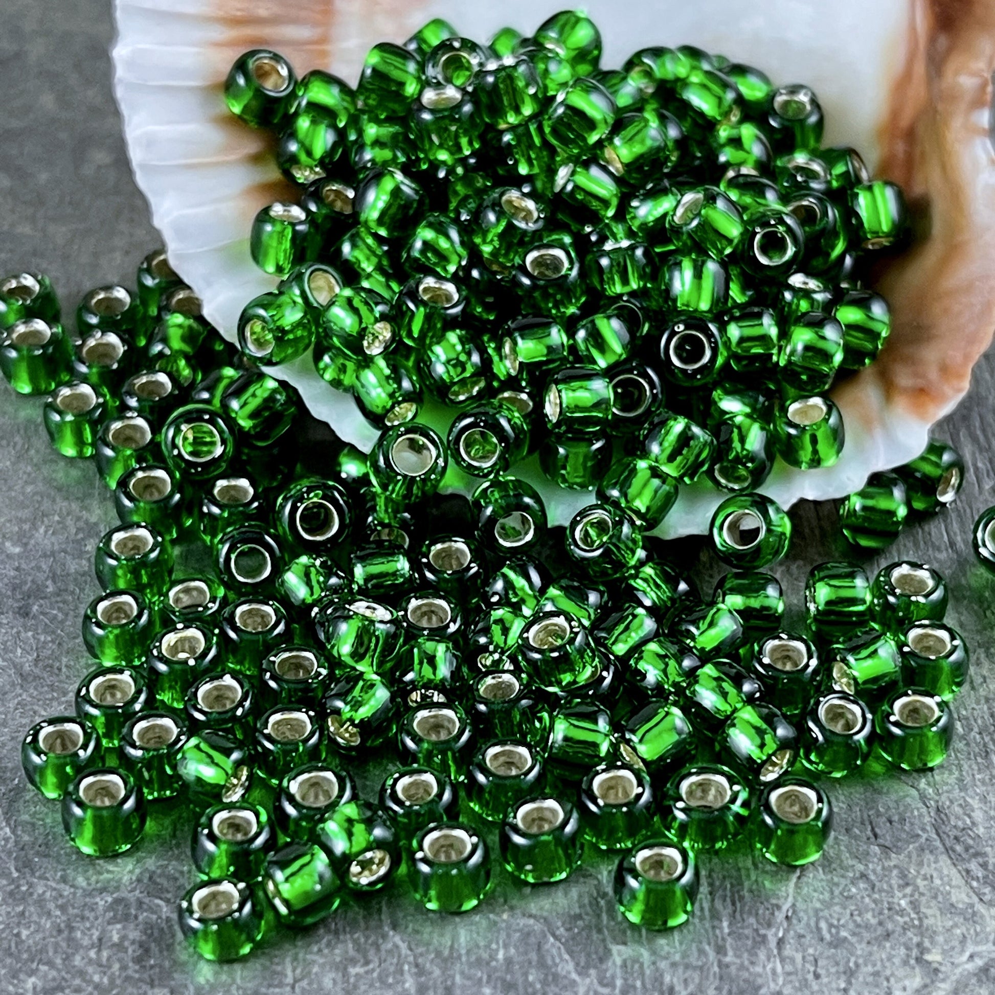 Green Seed Beads TOHO 6/0 Round Grass Green Beads with Silver Core (T6/SM-27B) 6/0 Glass Seed Beads 4mm Beads * 20 Grams