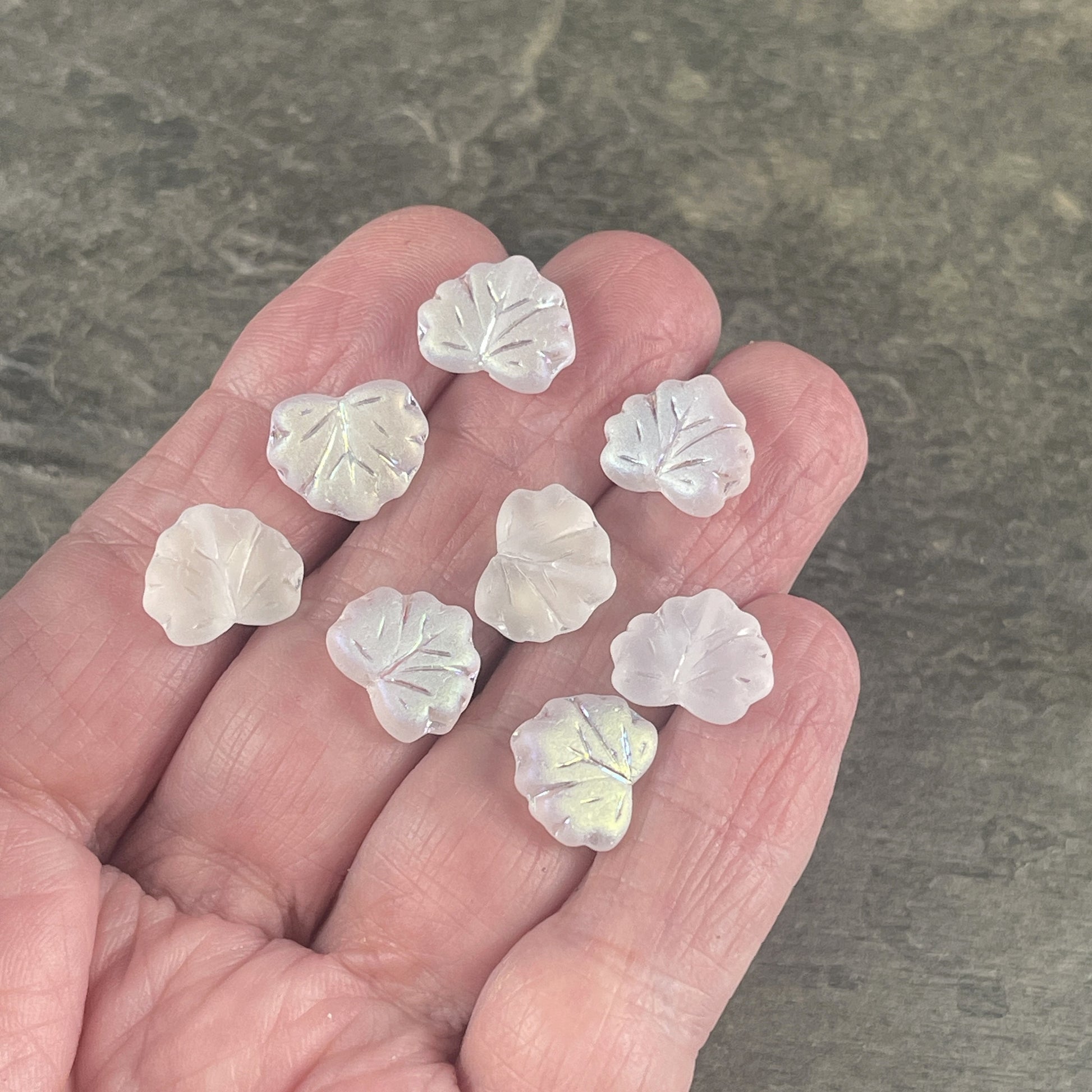 Czech Glass Leaf Beads - 10x13mm Frosty White Maple Leaf with AB Finish (ML45) * Qty. 10