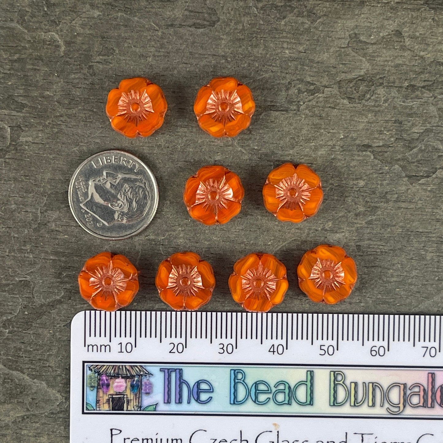 Czech Glass Beads - 12mm Orange Hibiscus Flower Beads ~ Orange Opaline Glass with Copper Wash (FL12/RJ-1169) * Qty. 6