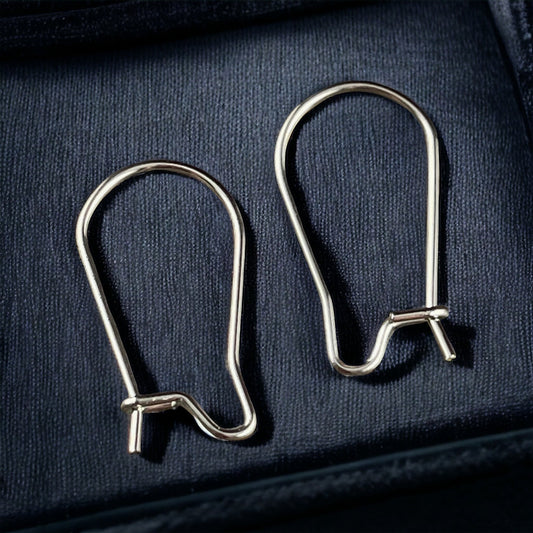 Hypoallergenic Silver Ear Wires for Sensitive Ears, 316 Surgical Stainless Steel, 20x11mm Kidney Shape Hoops (STAS-E009) * Qty. 30