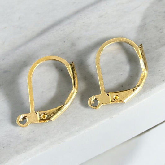 Gold Lever Back Ear Wires, 15x10mm Gold Plated Brass, Nickel Free (R014) * Qty. 30