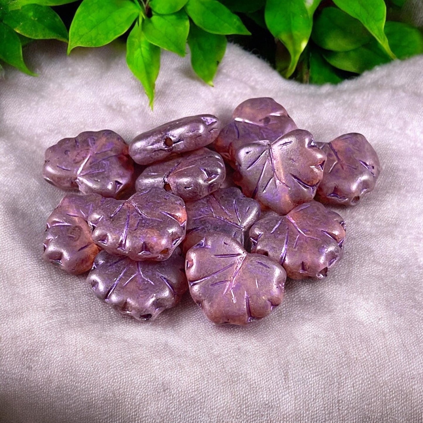 Czech Glass Beads - 11x13mm Leaf Beads, Matte Transparent Plum Berry (ML68) * Qty. 12
