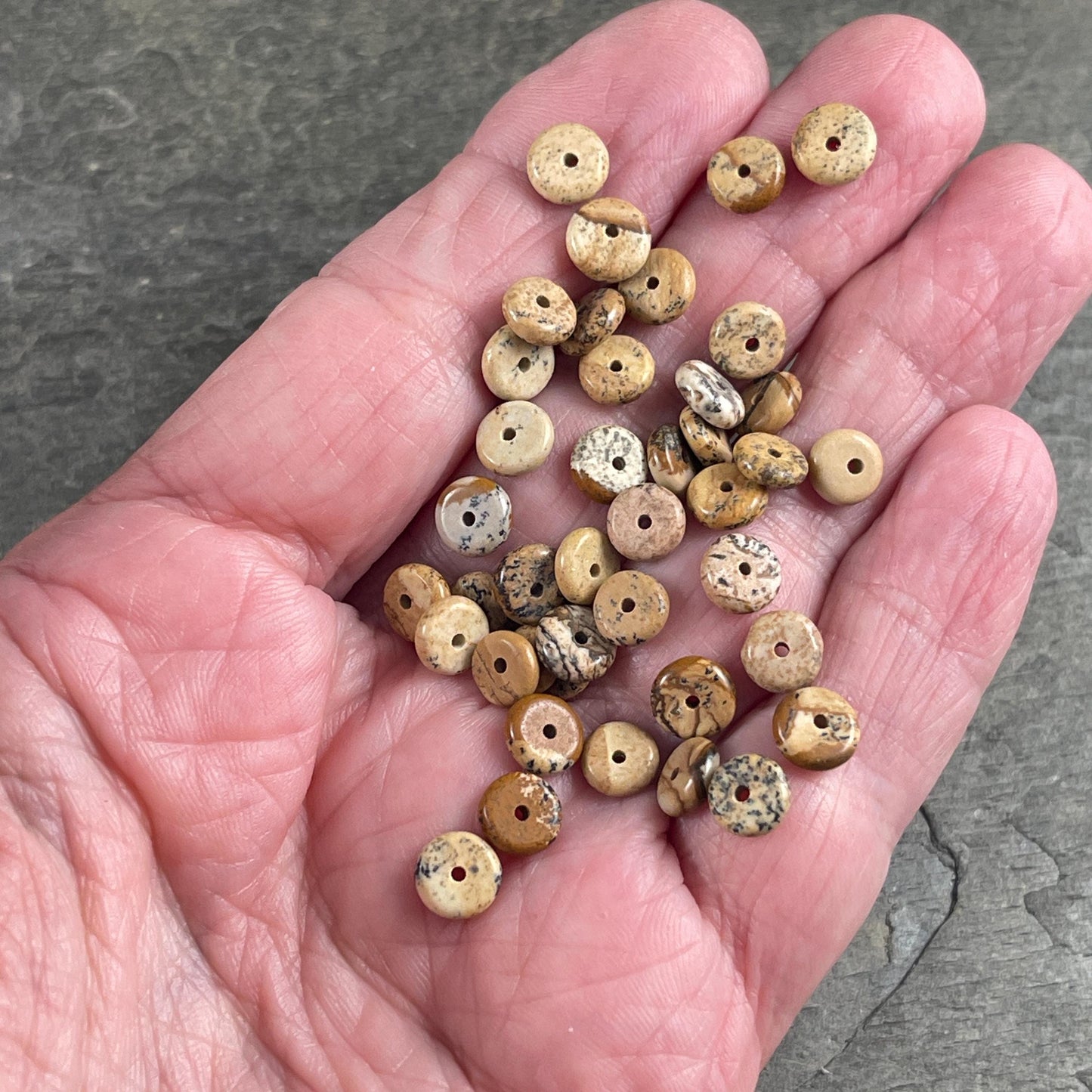 Picture Jasper Gemstone Beads - 6x2mm Rondelle (DS-67735) * 7 1/2" Strand