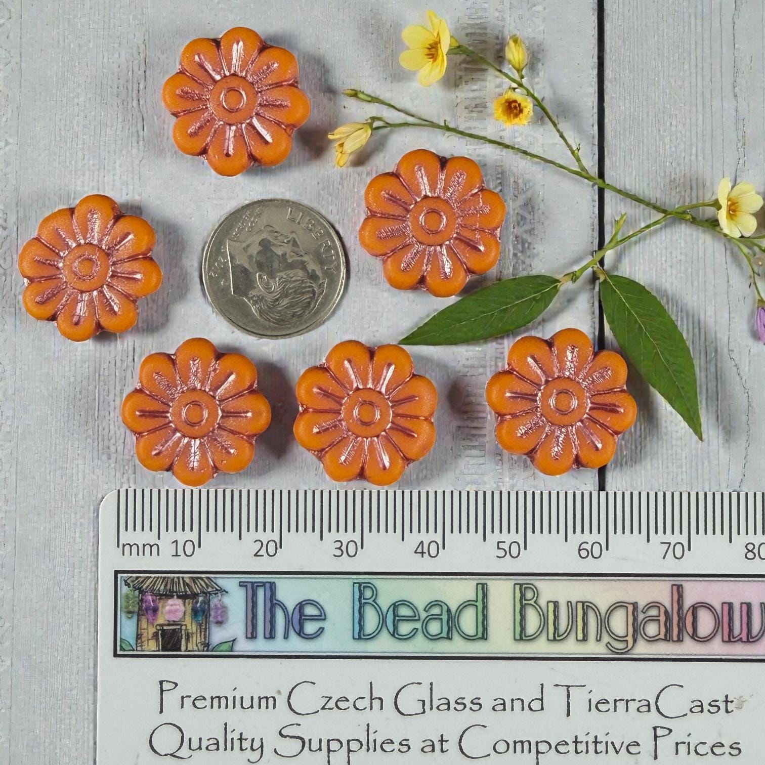 Czech Glass Beads - 17mm Daisy Flower, Matte Orange with Metallic Pink Wash (PLD-23) * 6 Beads