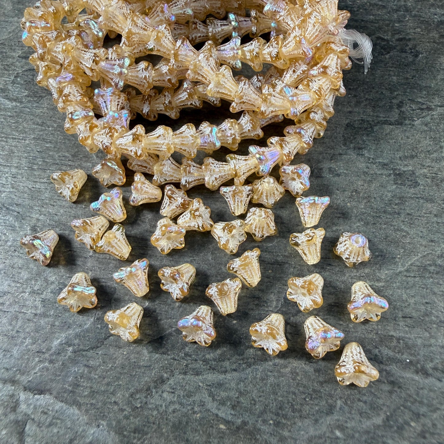 Czech Beads - 5x6mm Small Trumpet Bell Flower, Gold and White with AB Finish (FLO/N-0011) * 30 Beads