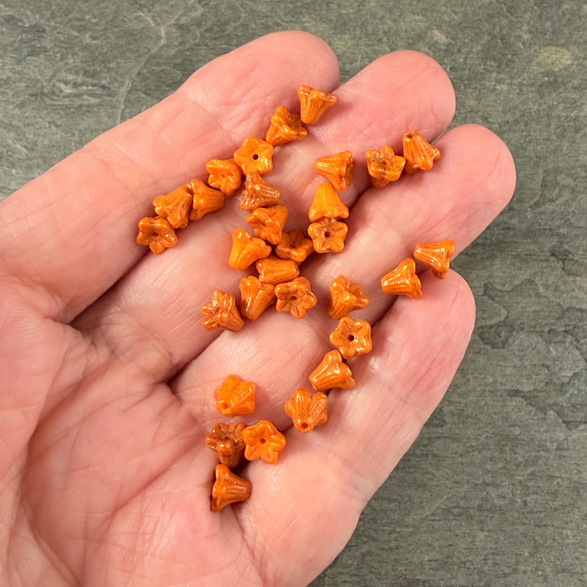 Czech Beads - 5x6mm Small Trumpet Bell Flower, Pumpkin Orange with Bronze Finish (FLO/N-1053) * 30 Beads