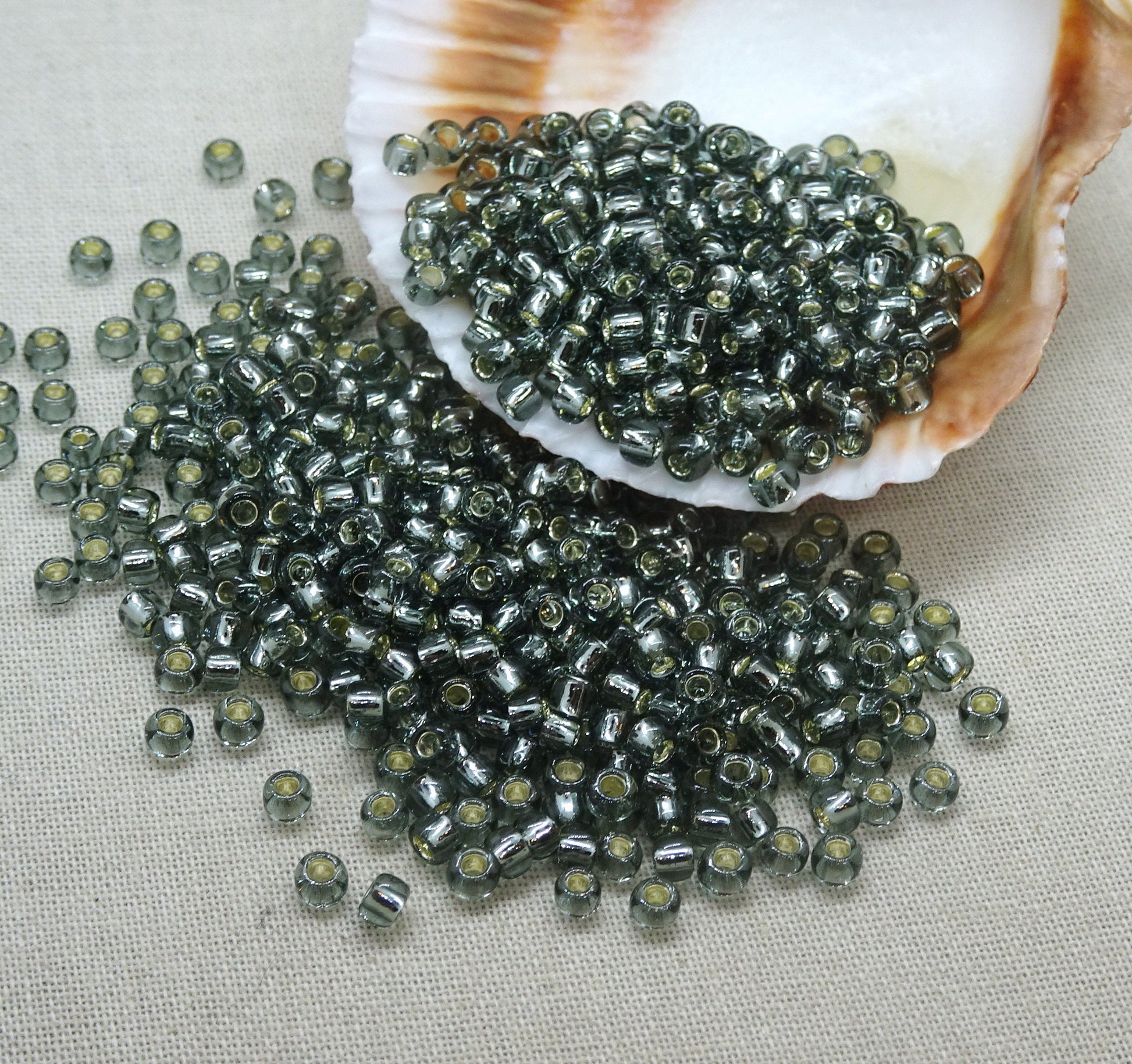 8/0 TOHO Seed Beads ~ Transparent Gray with Silver Core Lining ~ 3mm Gray Glass Beads (T8/SM-29B) * Qty 10 grams