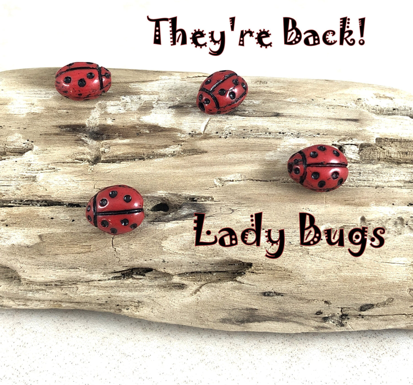 Lady Bug Beads, Czech Glass Ladybug Beads, Red Lady Bugs, Red and Black Beads, Czech Glass Beads, Specialty Czech Beads (RJ-4268) Qty. 10