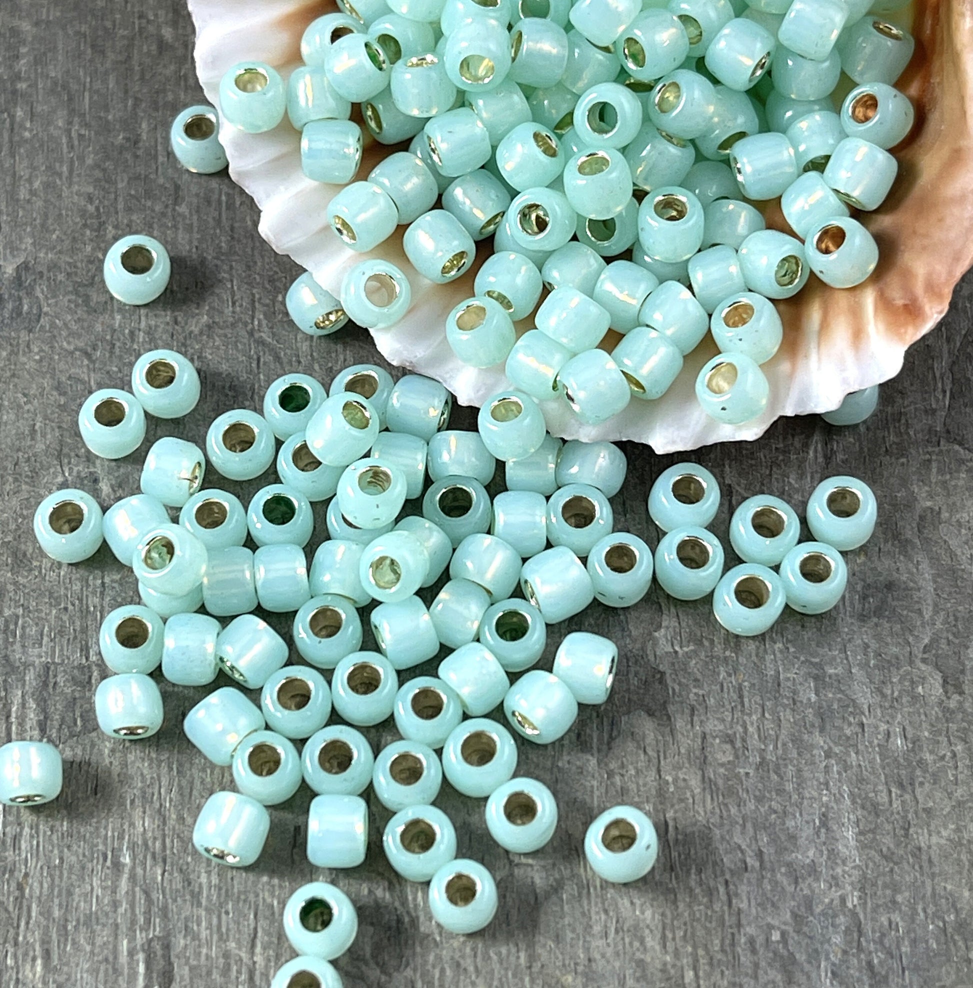 Mint Green Glass Seed Beads ~ TOHO 6/0 Round Light Green Glass Beads with Silver Core (T6/SM-2118) 4mm Beads * Qty. 10 grams