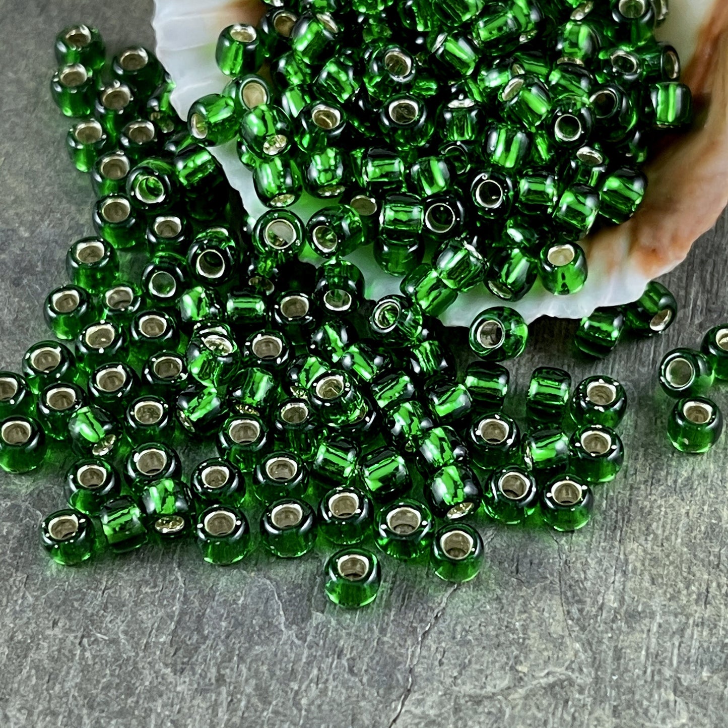 Green Seed Beads TOHO 6/0 Round Grass Green Beads with Silver Core (T6/SM-27B) 6/0 Glass Seed Beads 4mm Beads * 20 Grams