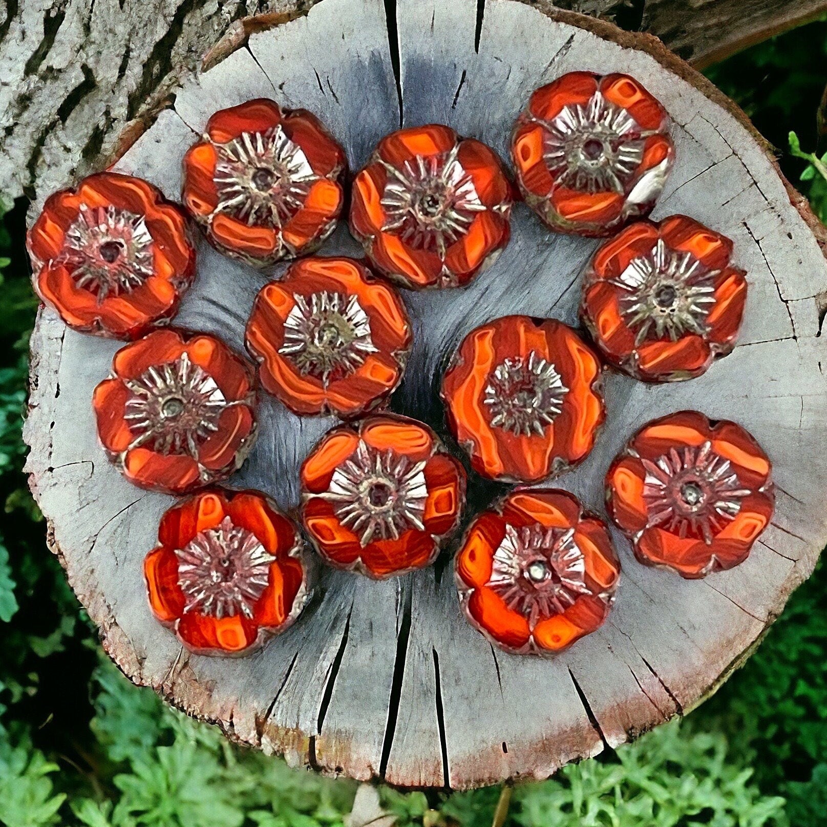 Czech Glass Beads - 12mm Dark Orange Hibiscus Flower Beads ~ Reddish Orange Two-Tone Glass with Picasso Finish (FL12/RJ-1148) * Qty. 6